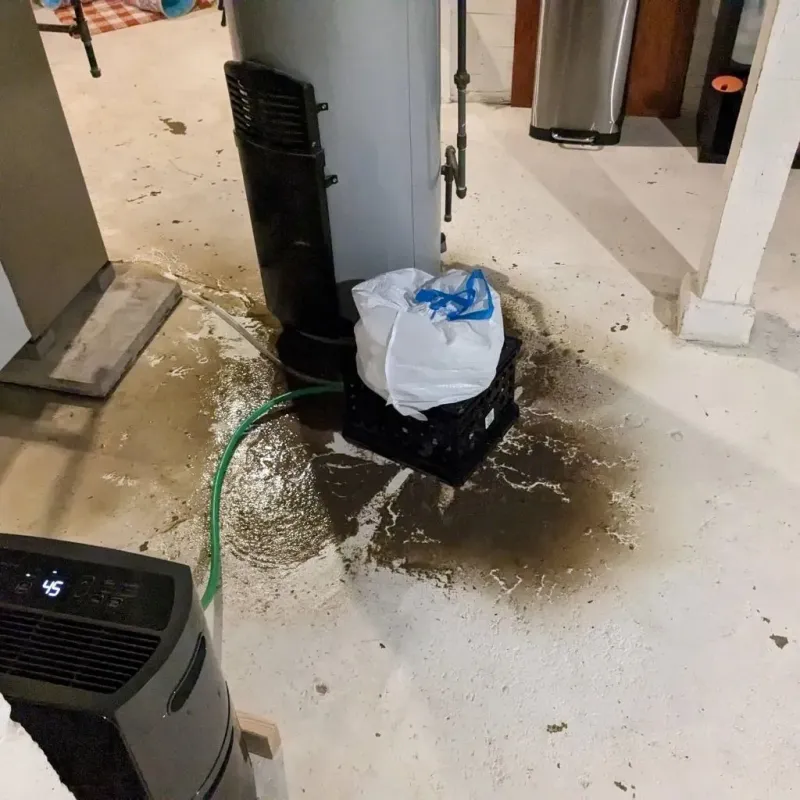 Sewage Backup Cleanup Service in Millersburg, PA